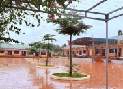 TRƯỜNG TIỂU HỌC HÀ HUY TẬP TIẾP TỤC TRIỂN KHAI PHONG TRÀO TRỒNG CÂY, TRỒNG HOA TRONG KHUÔN VIÊN TRƯỜNG HỌC TRƯỜNG TIỂU HỌC HÀ HUY TẬP TIẾP TỤC TRIỂN KHAI PHONG TRÀO TRỒNG CÂY, TRỒNG HOA TRONG KHUÔN VIÊN TRƯỜNG HỌC